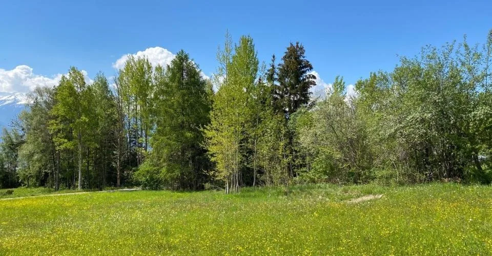 Arbaz - Votre futur projet immobilier dans un cadre privilégié