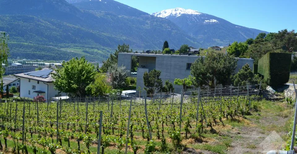 Magnifique parcelle surplombant Sierre dans zone villa de 1'099 m2