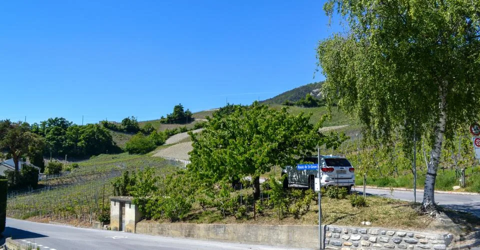 Magnifique parcelle surplombant Sierre dans zone villa de 1'099 m2
