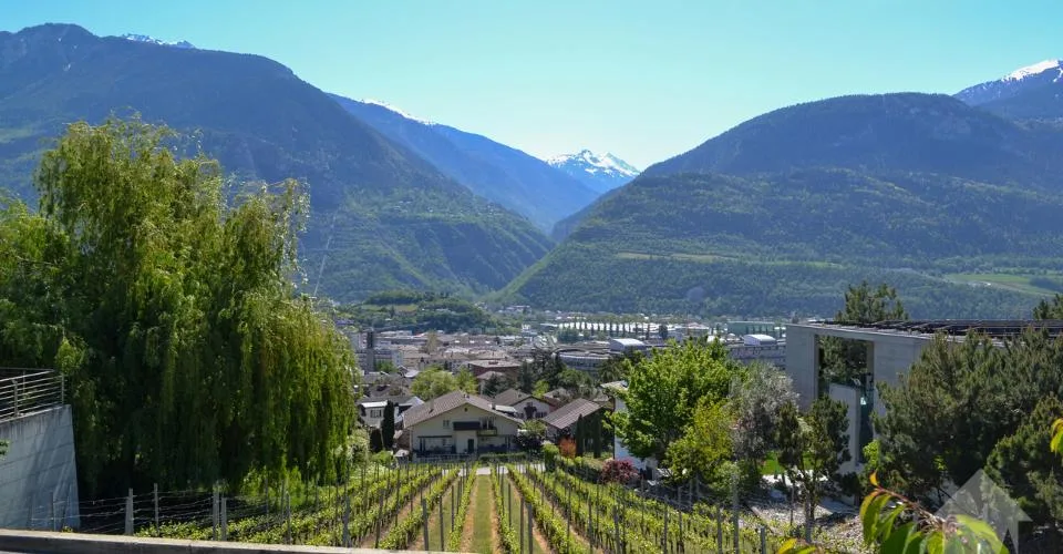 Magnifique parcelle surplombant Sierre dans zone villa de 1'099 m2