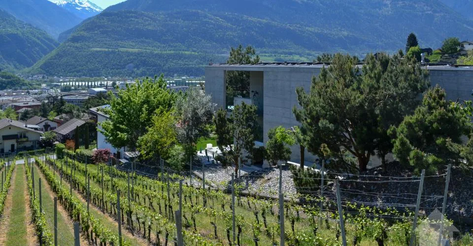 Magnifique parcelle surplombant Sierre dans zone villa de 1'099 m2