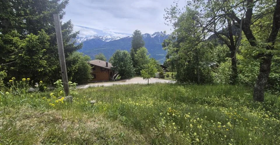 Terrain à bâtir