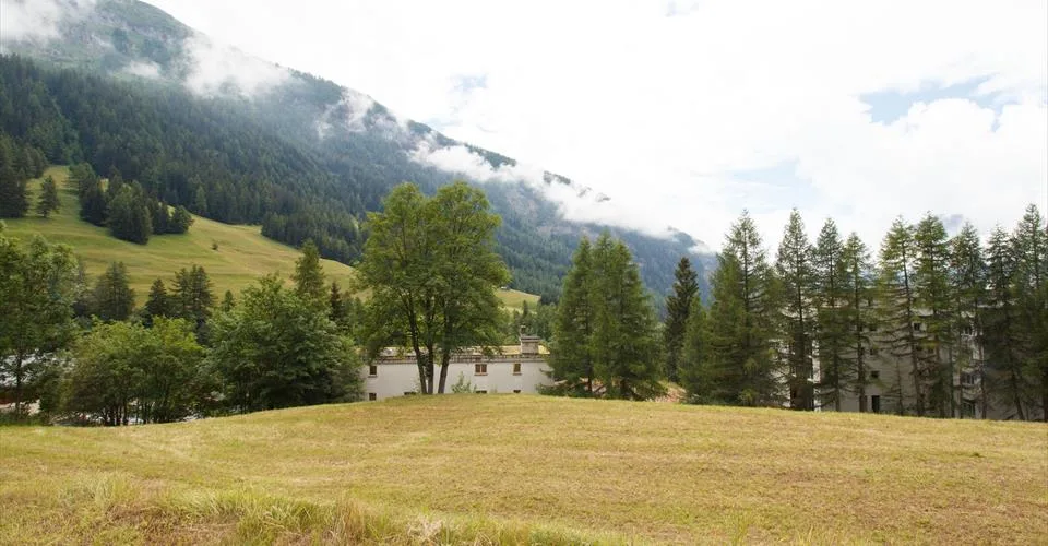 Terrain à bâtir bâti sur un versant sud surélevé de Loèche-les-Bains