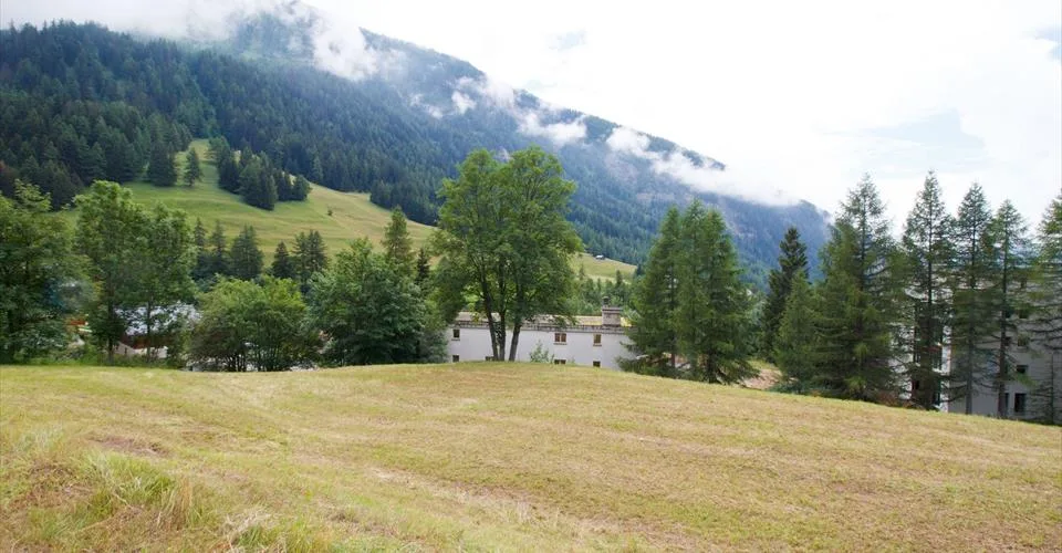 Terrain à bâtir bâti sur un versant sud surélevé de Loèche-les-Bains