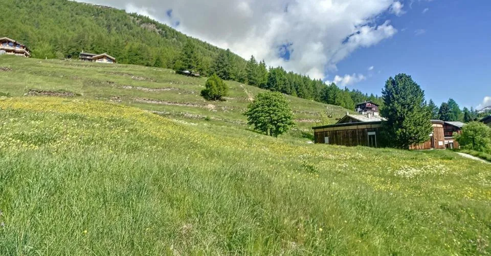 Terrain à bâtir parfaitement situé