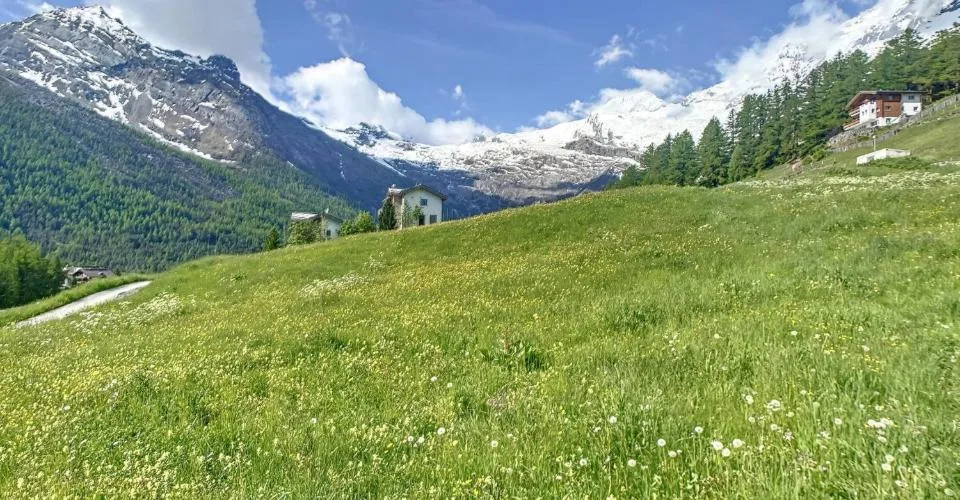 Terrain à bâtir parfaitement situé