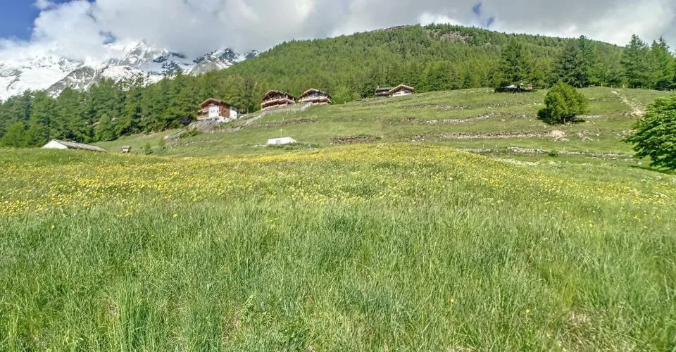 Terrain à bâtir parfaitement situé
