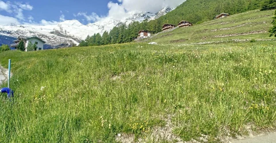 Terrain à bâtir parfaitement situé