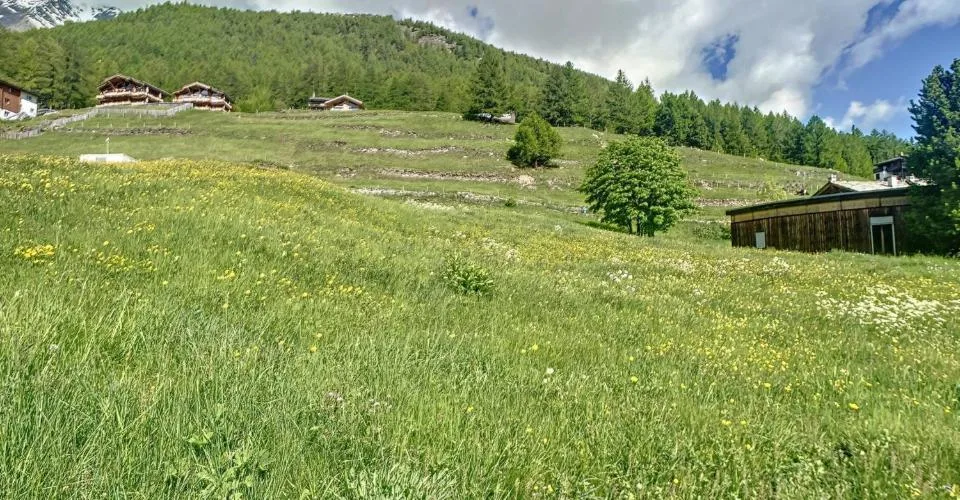 Terrain à bâtir parfaitement situé
