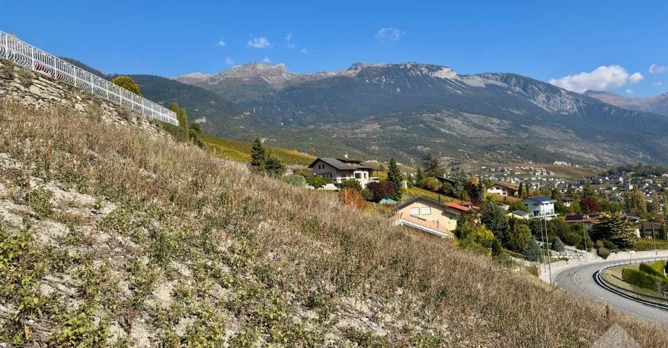 Parcelle équipée avec vue panoramique