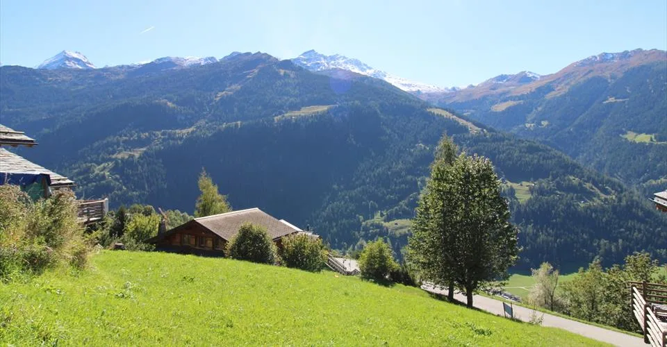 Terrain constructible à Sarreyer – photo 2 of 4