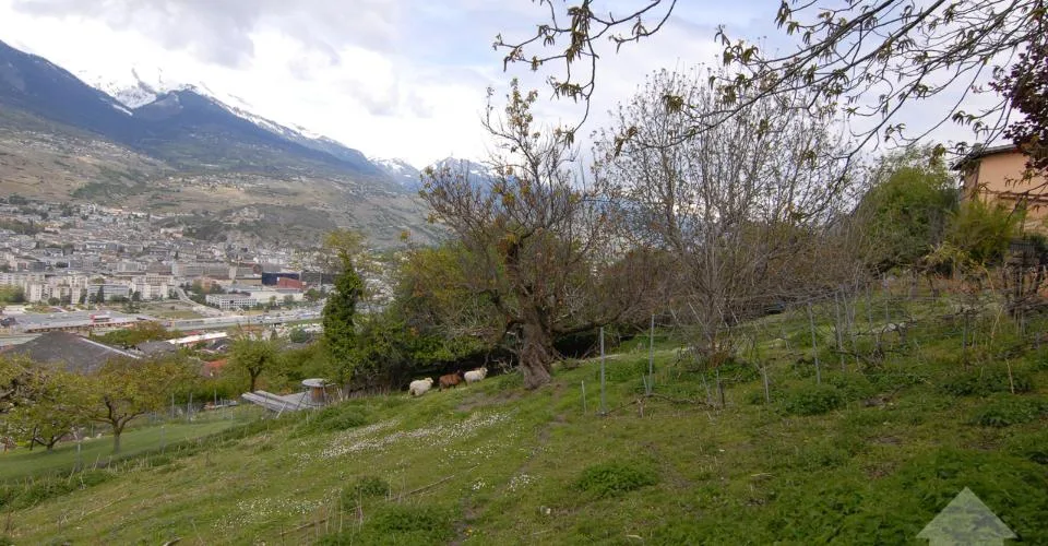 Magnifique terrain à Salins – Foto 8 von 13