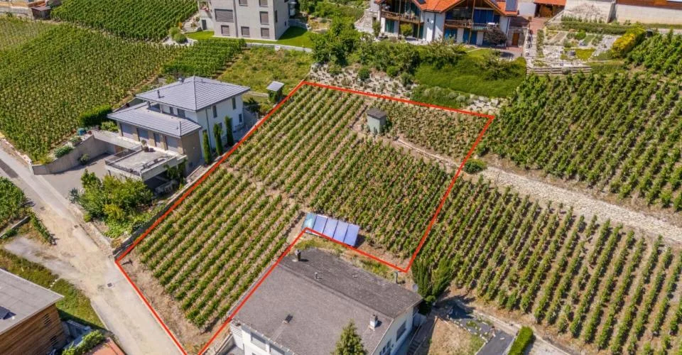 Votre maison de rêve pourrait être construite ici - terrain à bâtir ensoleillé à Loèche