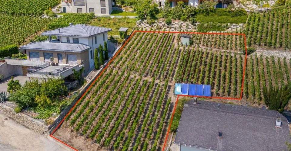 Votre maison de rêve pourrait être construite ici - terrain à bâtir ensoleillé à Loèche
