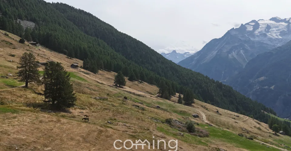 Parcelle à bâtir à Gspon - 651 m² en situation alpine avec panorama impressionnant