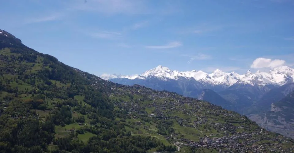Terrain à Clèbes (Nendaz)