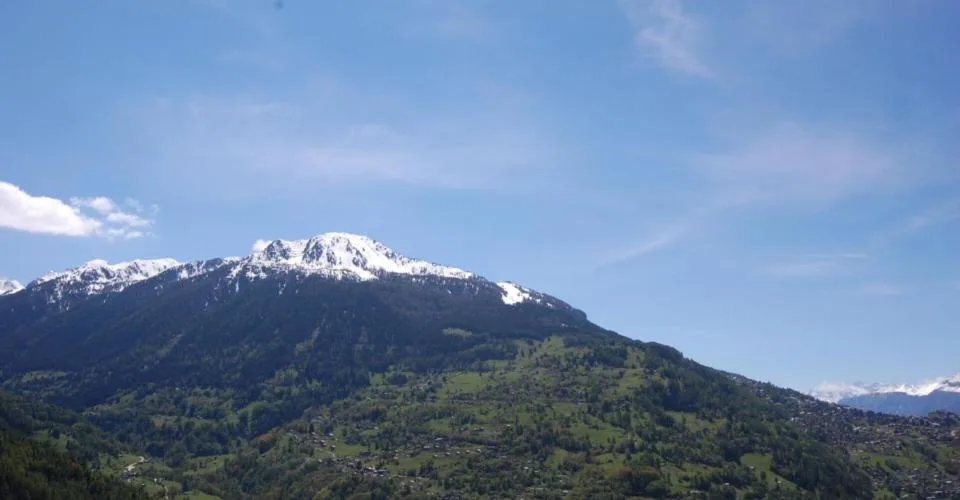 Terrain à Clèbes (Nendaz)