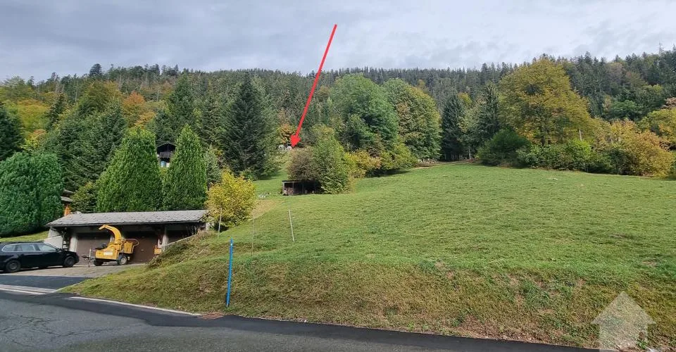 Torgon, terrain à bâtir avec permis de construire en force