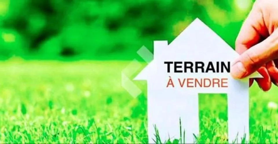 TERRAIN – foto 6 di 7