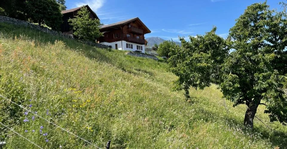 Terrain à construire pour résidence familiale