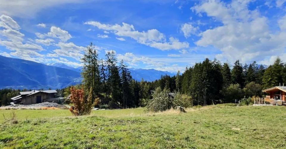 Objet rare à Crans-Montana - Grande parcelle à construire - Cadre Verdoyant, vue montagnes – Foto 6 von 10