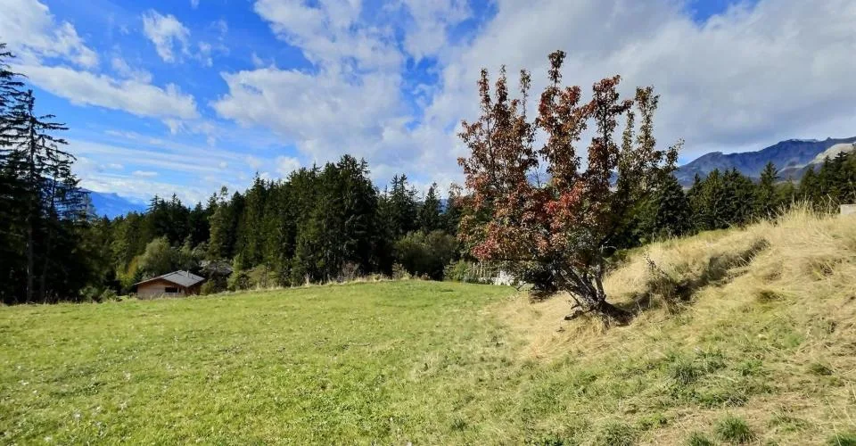 Objet rare à Crans-Montana - Grande parcelle à construire - Cadre Verdoyant, vue montagnes – Foto 5 von 10