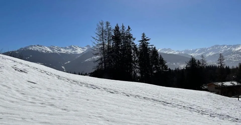 Objet rare à Crans-Montana - Grande parcelle à construire - Cadre Verdoyant, vue montagnes – Foto 10 von 10