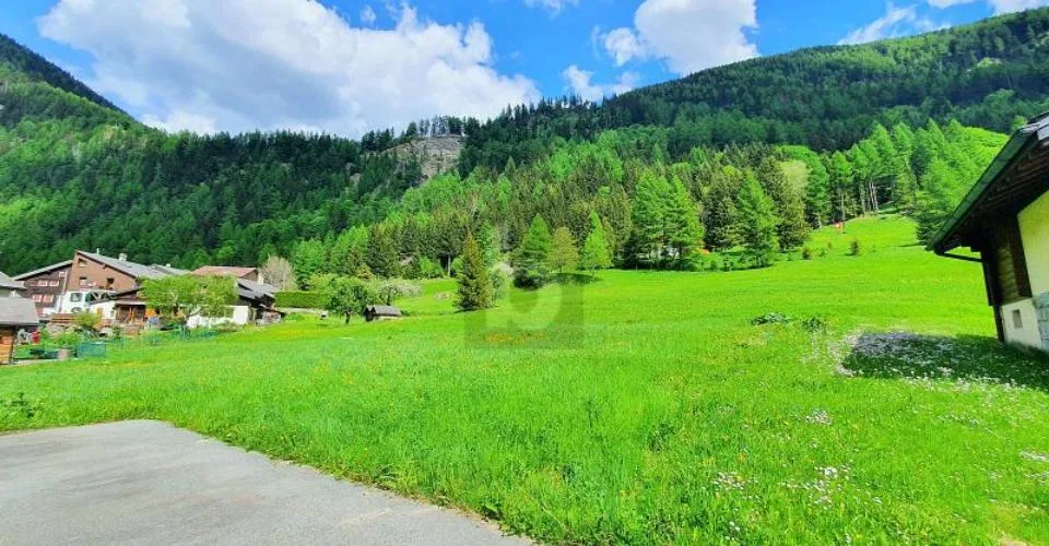 TERRAINS CONSTRUCTIBLES, AGRICOLES ET FORESTIERS