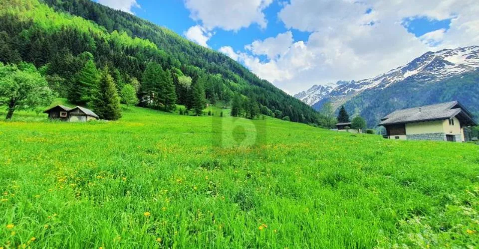 TERRAINS CONSTRUCTIBLES, AGRICOLES ET FORESTIERS