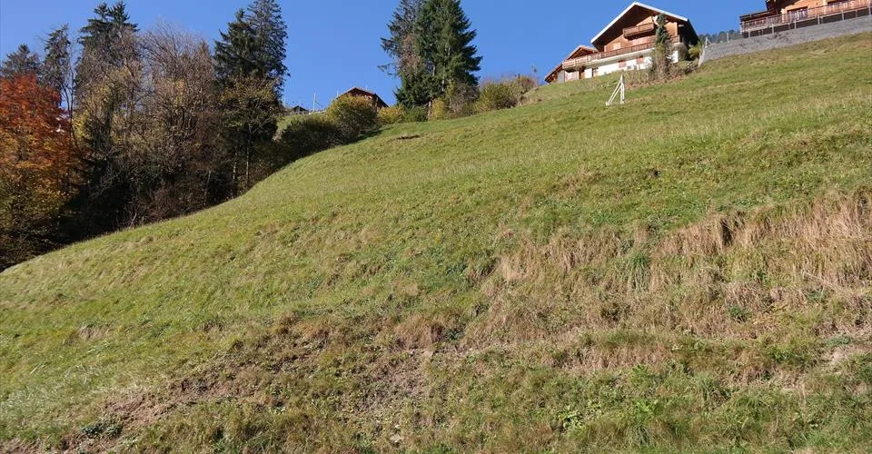 Grande parcelle de terrain à construire à Val-d'Illiez, entièrement équipée