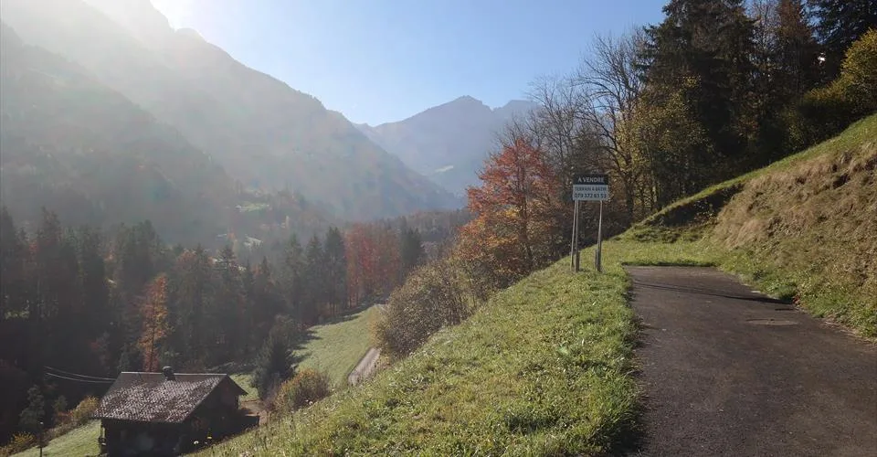 Grande parcelle de terrain à construire à Val-d'Illiez, entièrement équipée