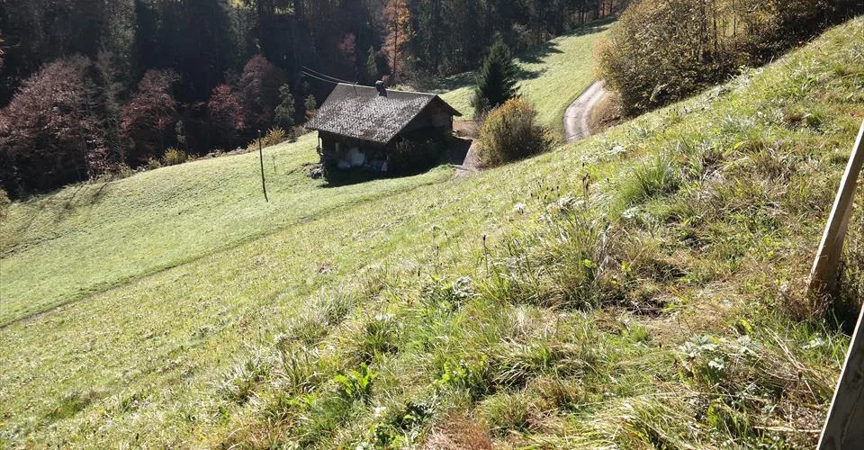 Grande parcelle de terrain à construire à Val-d'Illiez, entièrement équipée