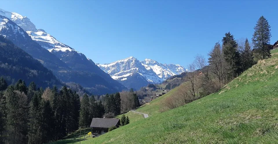 Grande parcelle de terrain à construire à Val-d'Illiez, entièrement équipée