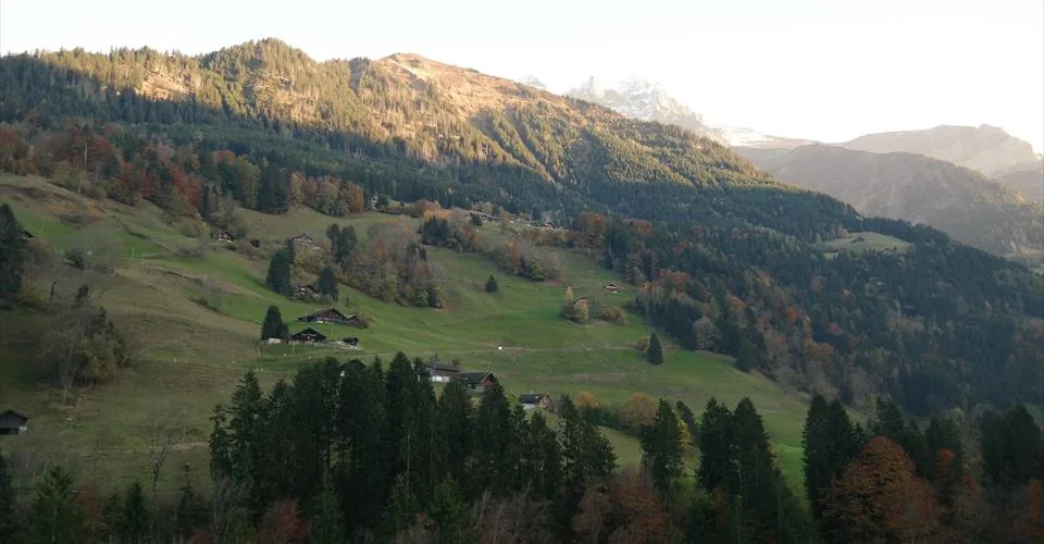Grande parcelle de terrain à construire à Val-d'Illiez, entièrement équipée