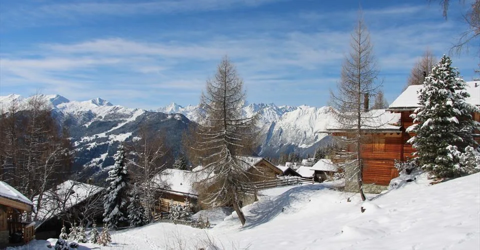 Terrain à bâtir