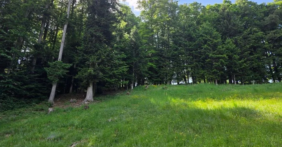 Terrain constructible de 1'878 m² à La Chaux-de-Fonds – foto 2 di 2
