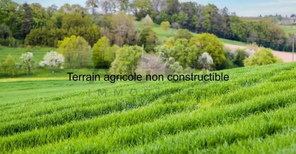 Terrain agricole non constructible avec cabane et vue panoramique sur