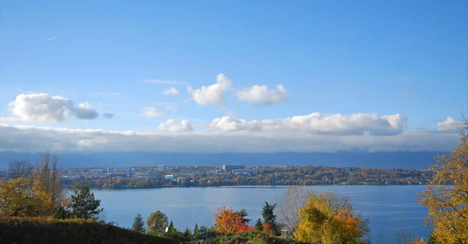 COLOGNY - Magnifique parcelle avec vue lac panoramique