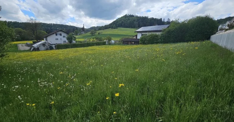 À vendre à Movelier terrain à bâtir de 1'468 m²