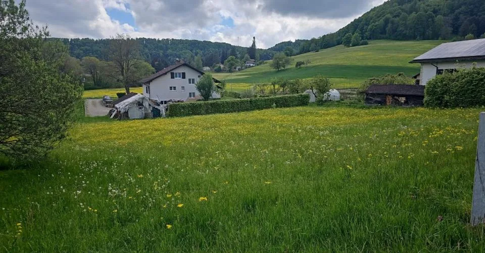 À vendre à Movelier terrain à bâtir de 1'468 m²