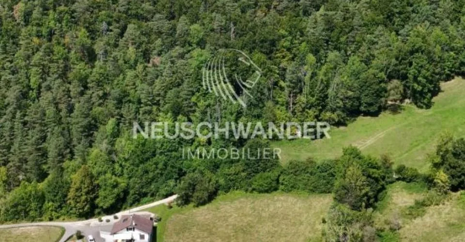 Terrain à bâtir de 6'062 m2 situé dans le village de Vermes