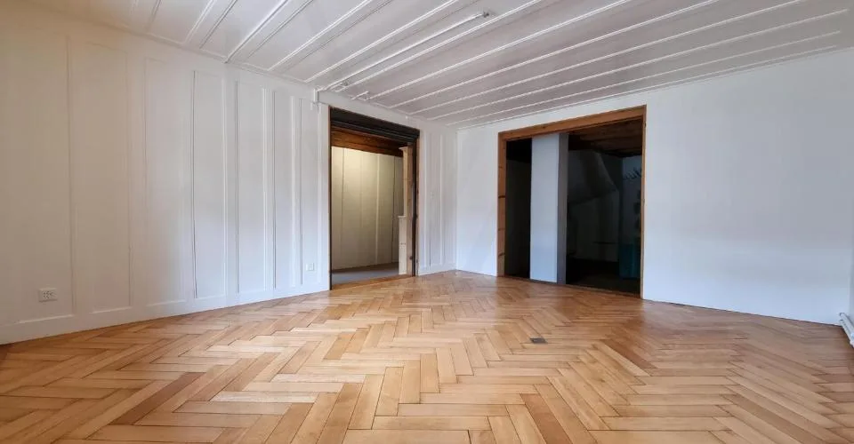Splendide immeuble historique du 15? siècle avec local commercial et appartements