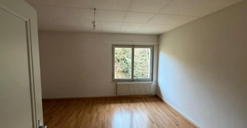 Immeuble de rendement avec fort potentiel de développement à Châtel-Saint-Denis(FR)