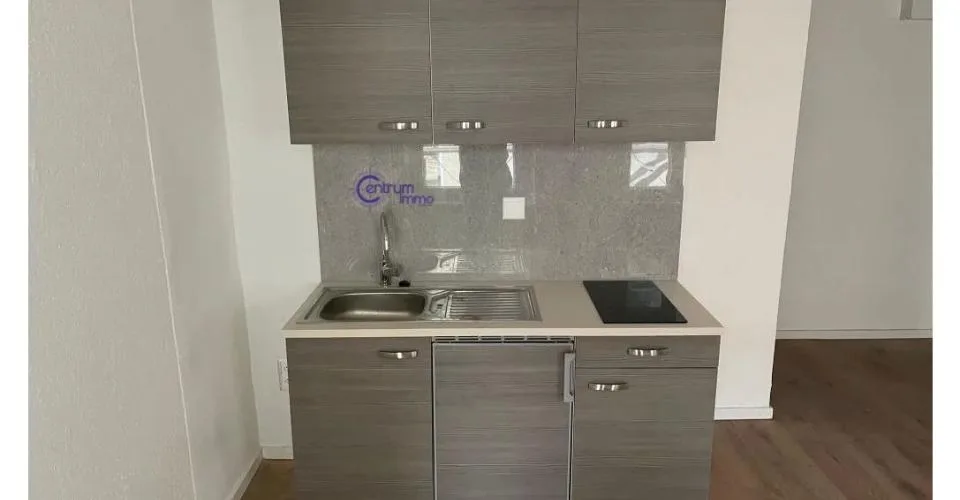Immeuble entièrement rénové – photo 4 sur 13
