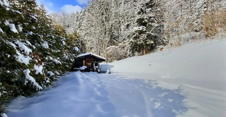 25 37 Bed and Breakfast Les Papillons- A rénover