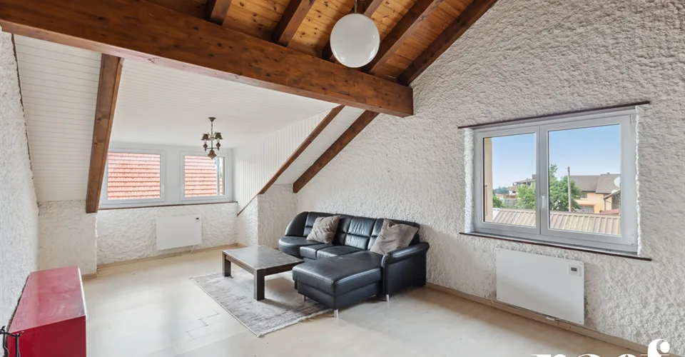 Maison villageoise locative de 3 appartements