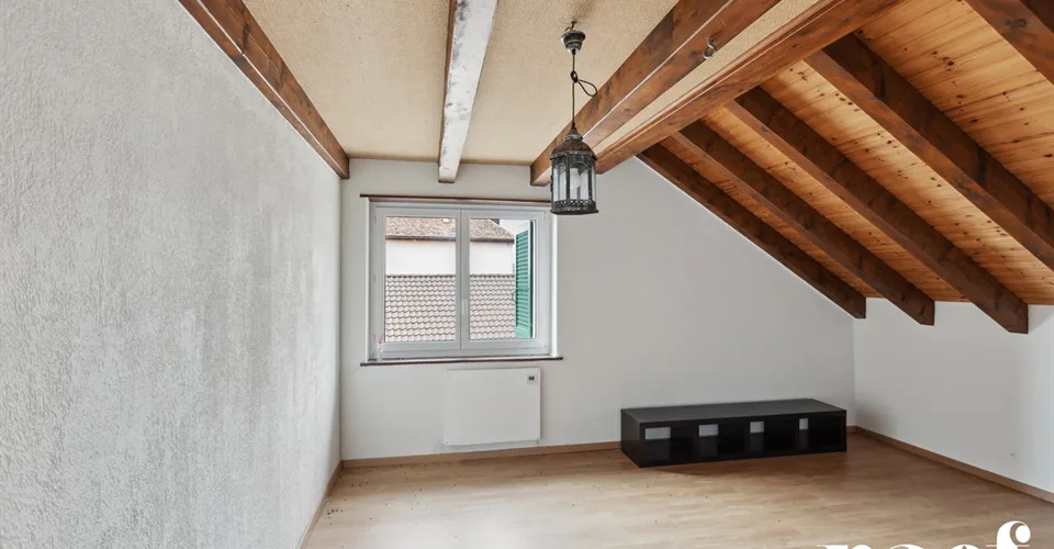 Maison villageoise locative de 3 appartements