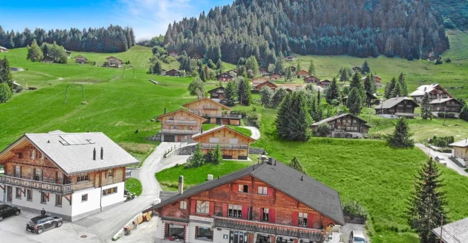 Chalet de deux appartements et un commerce | BC IMMO