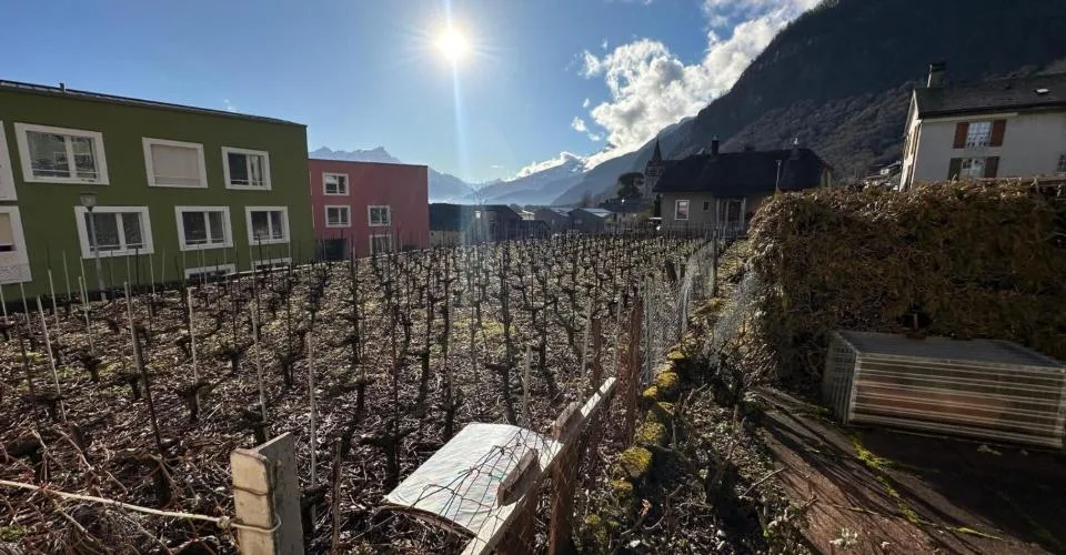 Immeuble locatif à Vouvry