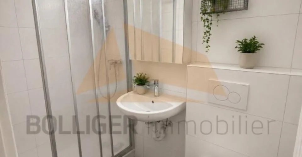 A VENDRE IMMEUBLE MIXTE